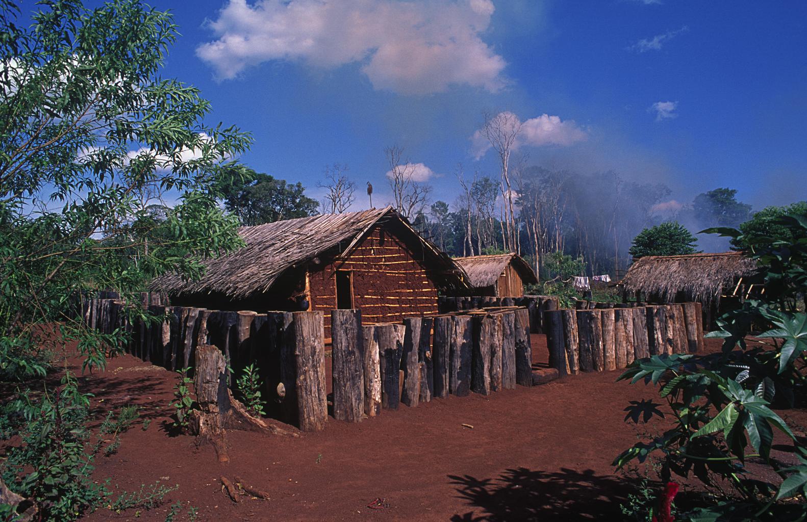 Territórios Indígenas: desafios da preservação em aldeias Guarani